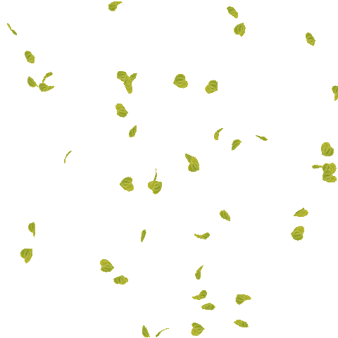 Daycare Centre in Anna Nagar